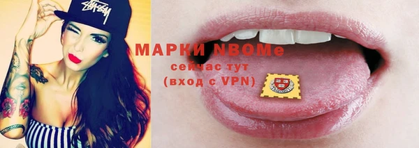 шишки Киренск