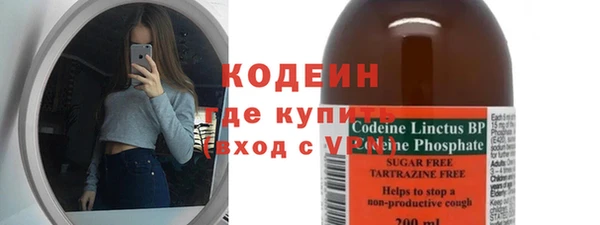 индика Карпинск