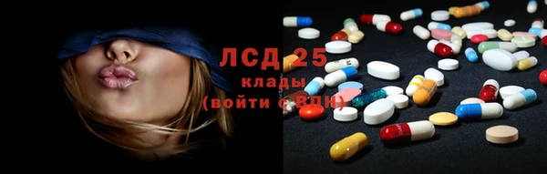индика Карпинск