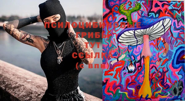 герыч Кинешма