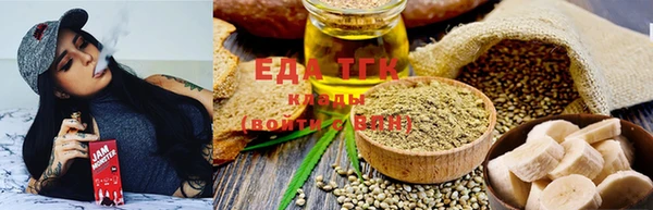 индика Карпинск