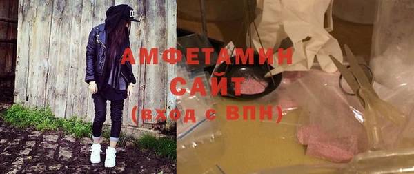 индика Карпинск