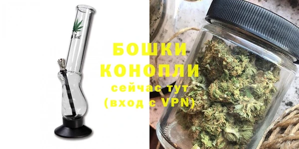 шишки Киренск